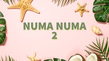 Numa Numa 2. Dance Fitness Workout.