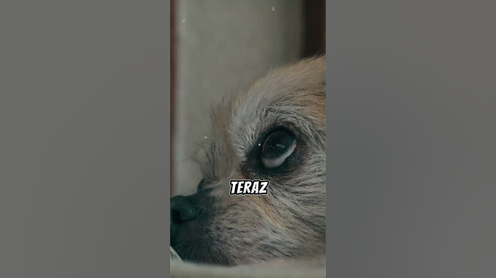 Ta kamera kradnie więcej niż tylko zdjęcia... 📸💀