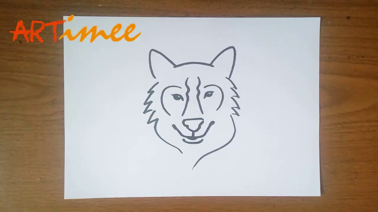 Let S Drawing A Wolf Face Simple Easy Youtube