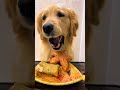 Funny photo shoot One-click with same style Affects is fun Video  please do not imitate at home