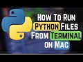 How To Run Python Files From Terminal on Mac (2024)