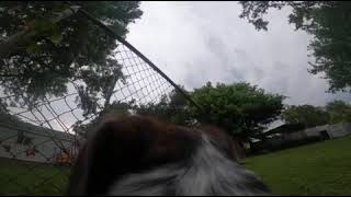 Lets test it out