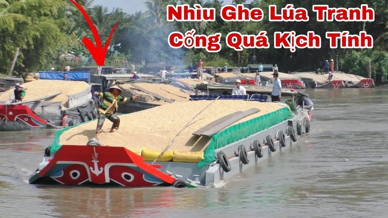 Nhìu Sà Lan Ghe Lúa.Tranh Nhau Qua Cống. Không Ai nhườn Ai Quá Kịch ...
