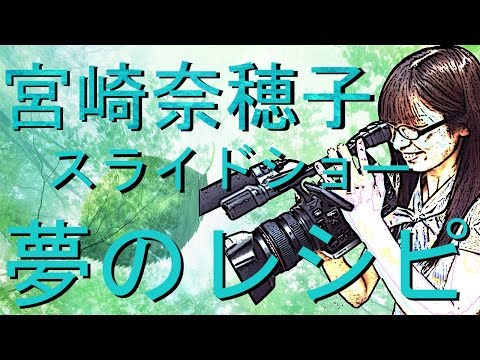 宮崎奈穂子 夢のレシピ