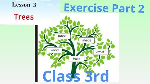 Lesson -Trees ,| Exercise Part 2|, Class 3rd.P.S.E.B.@ShellysStudyRoom