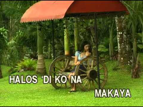 Tunay Na Mahal by Lani Misalucha lyrics lover taylor swift