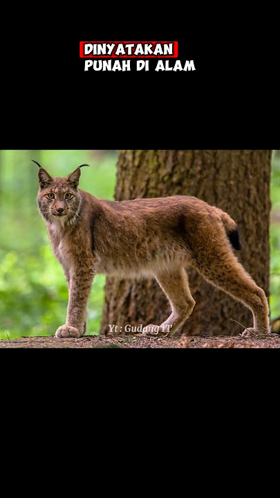 HEWAN PUNAH YANG DIHIDUPKAN KEMBALI
