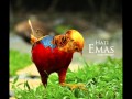 Hati Emas - M.Nasir.wmv