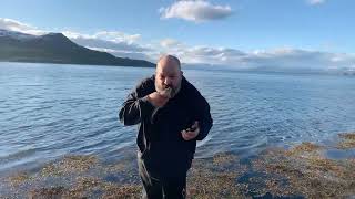 When You Throw Away A Phone Instead Of A Fish...