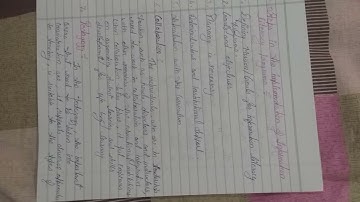 B.ed 3rd sem Literacy