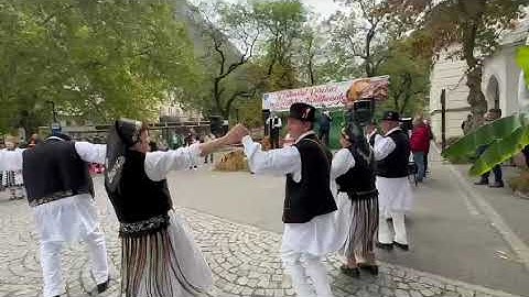 Festivalul rachiei- 2025-Baile Herculane.Interpret Alexandru Micșescu.