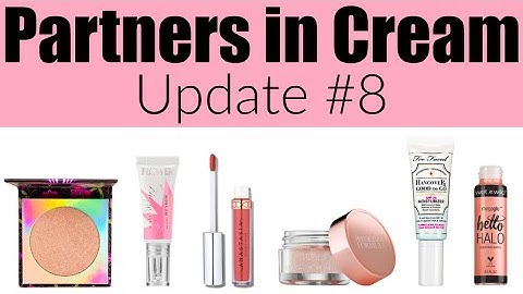 Project Pan Update #8 | Partners in Cream | Group Collab