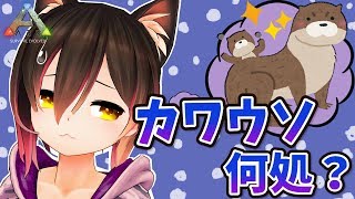 ロボ子さん、Youtube、ライブ、live、ユーチューブ