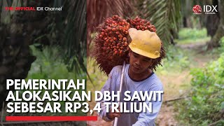 Pemerintah Alokasikan DBH Sawit Sebesar Rp3,4 Triliun | IDX CHANNEL