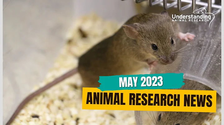 Animal Research News (May 2023) - DayDayNews