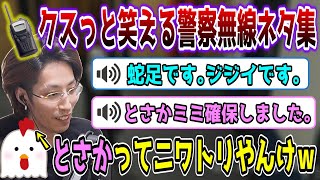 【スト鯖/GTA5】普段は真面目な警察無線のクスっと笑えるネタ無線まとめ【SHAKA視点】