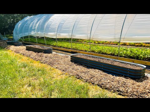 Josh Sattin Farming