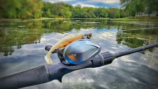 First Impression Fishing Daiwa Alphas SV TW 800S during Early Fall via Swimbait