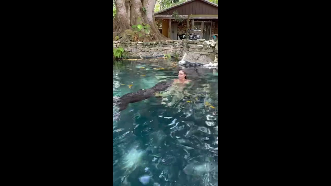 Gabby Swimming With Alligators 