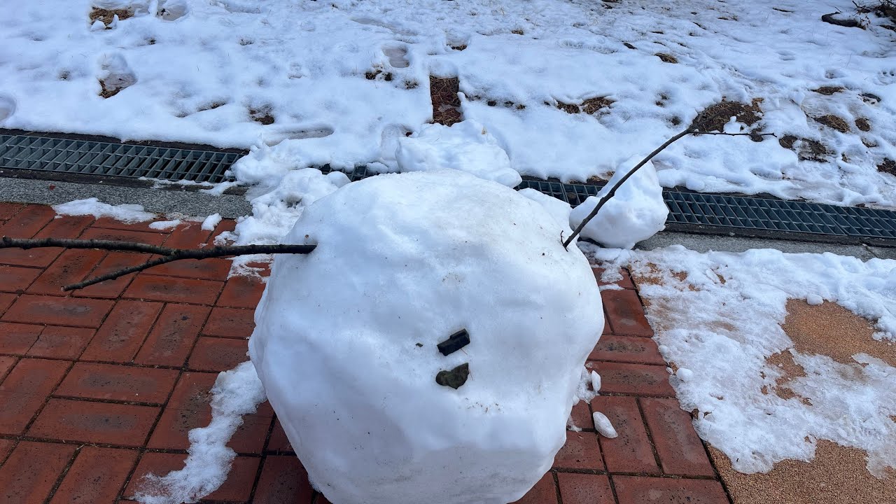 푸쉬업 |Perfect Push-up | 