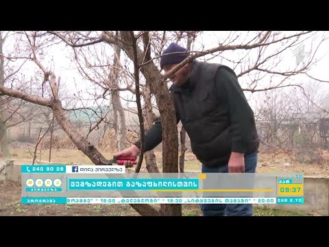 როგორ მოვამზადოთ ნიადაგი ახალი სეზონისთვის - რეპორტაჟი ლამისყანიდან
