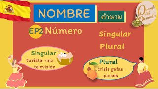 เรียนภาษาสเปน: Ep2 Nombre - Número คำนาม: พจน์ของคำนาม