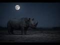 MetinDeep – Moonweight | Deep House / Arabic Whisper / Organic