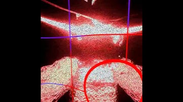 Lethal ape ultimate - Primate / Primal fear monster jumpscare #lethalapeultimate