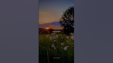 Tu Jaane Na 💜😇 - Song Lyrics | Atif Aslam | Khyaalon Mein Lakhon Baatein 😘 | Status World | #shorts