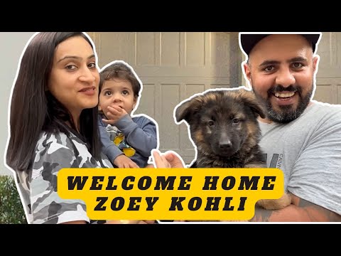 "Welcome Home, Zoey! Our New German Shepherd Joins the Namitaology Family 🐾❤️"