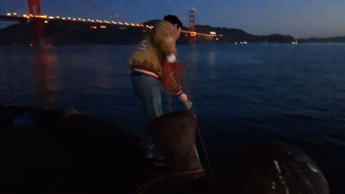 Catch of the day – Meet the people that bring San Francisco the freshest  catch - YouTube