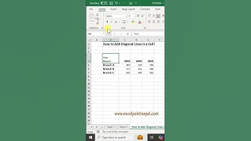 How to Add Diagonal Lines in a Cell!