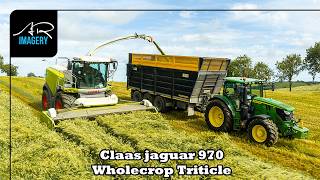 GM Farms Triticale Harvest | Wallace Contracts & CLAAS JAGUAR 970