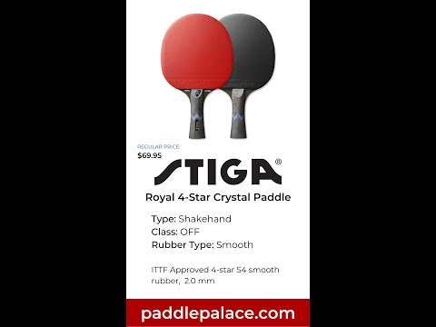 Paddle Palace DAILY Special - 08/23/22