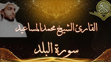 سورة البلد القارئ الشيخ محمد المساعيد |تلاوة خاشعة