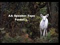 Aa speaker tape  forest l rochester mn 2023