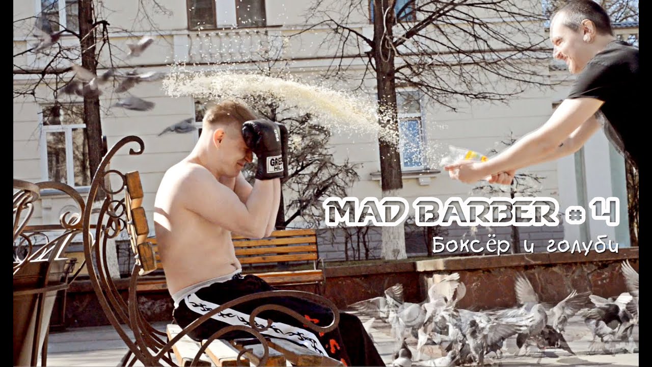 Голубь срет на машину