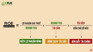 CÁCH SỬ DỤNG CHỈ SỐ ROA - ROE - HỌC CHỨNG KHOÁN CƠ BẢN CÙNG TRUE INVEST