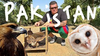 I Bought Exotic Birds from the Pet Market and Let Them Go! 🇵🇰