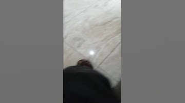 how to fix an offline problem on hp wireless printer