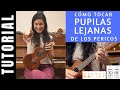 cómo tocar en ukelele PUPILAS LEJANAS de LOS PERICOS tutorial COMPLETO acordes fácil