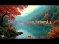 Raindrops on Tatami  畳に落ちる雨音