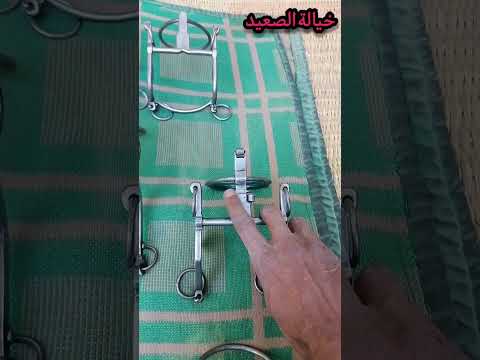 أفضل لجام للحصان العاصي حصان عربي اصيل