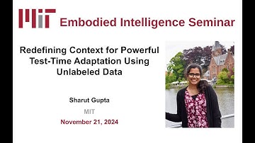 Sharut Gupta - Redefining Context for Powerful Test-Time Adaptation Using Unlabeled Data