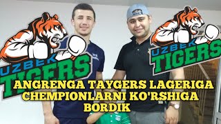 UZBEK TAYGERS LAGERIGA ANGRENGA BORDIK