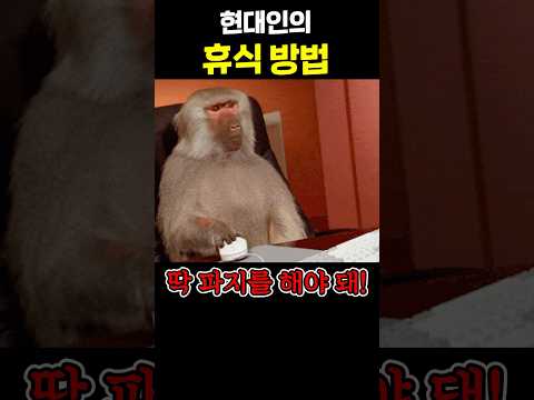 현대인들의 <strong>휴식</strong> <strong>방법</strong>