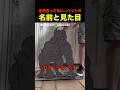 【世界共通】ペットにはかわいい名前つけがち