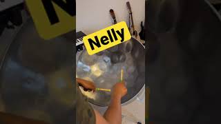 Nelly #steelpan #steeldrum #nelly #nomatterwhat
