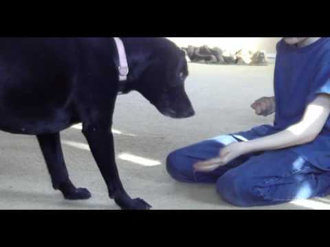 Rylee.wmv