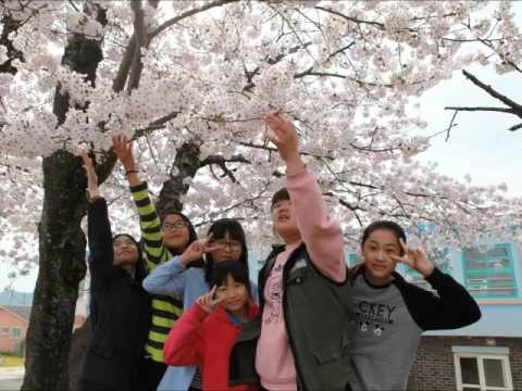 2016학년도 일로초등학교 6학년 1반 벚꽃엔딩 뮤직비디오
